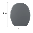 Assento Sanitário Tampa Oval Soft Cinza Escuro + Parafuso De