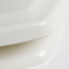 Assento Sanitário Thema Plástico Biscuit Tupan