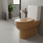 Assento Sanitário Tigre Max Caramelo