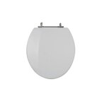 Assento Sanitário Universal Oval Aço Sterling Silver