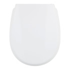 Assento Sanitário Village/Polo Termofixo Gelo Tupan