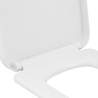 Assento Sanitário Vogue Plus EasyClean Termofixo Gelo Deca