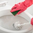 Assento Tampa Vaso Sanitário Oval Almofadado + Jogo De Parafu