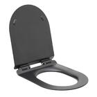 Assento Termofixo Com Soft Close Para Vaso Sanitário Amazonit