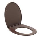 Assento Termofixo Com Soft Close Para Vaso Sanitário Aquarela