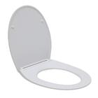 Assento Termofixo Com Soft Close Para Vaso Sanitário Aquarela