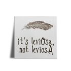 Azulejo Decorativo Personalizado Harry Potter Its Leviosa