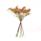 B.flor Do Campo X6 (cha) 35cm (florarte) Vol. 8