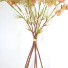 B.flor Do Campo X6 (cha) 35cm (florarte) Vol. 8