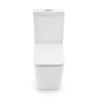 Bacia Com Caixa Acoplada Monobloco Branca Mp 300 Manplex