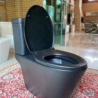 Bacia Com Caixa Acoplada Monobloco Preto Fosco Mp 810 Manplex