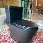 Bacia Com Caixa Acoplada Monobloco Preto Fosco Mp 810 Manplex