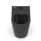 Bacia Para Caixa Acoplada Neo N Rimless Matte Black Incepa