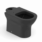 Bacia Para Caixa Acoplada Nexo Onix Roca