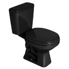 Bacia Sanitária com Caixa Acoplada 6L  Aspen Ébano Deca