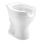 Bacia Sanitária Convencional Acesso Plus 43x36 cm Branco Celite