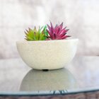 Bacia Siena 12x26cm Bege