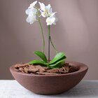 Bacia Verona 16 Café