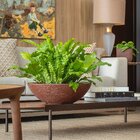 Bacia Verona 16 Café