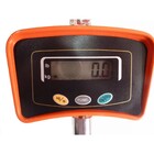 Balança 500Kg Suspensa de Gancho Caminhão Munck Bivolt