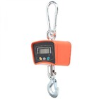 Balança 500Kg Suspensa de Gancho Caminhão Munck Bivolt