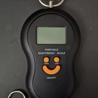 Balança Com Gancho Digital De Mão Até 50kg Portátil