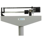 Balança Comercial Mecânica 300kg Welmy 104ch