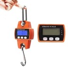 Balança De Gancho 300kg - Nova