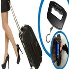 Balança Digital Bagagem Pesca Eletrônica De Mão 10g À 50kg Cb