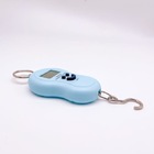 Balança Digital Portátil Até 50kg: Praticidade E Precisão Em