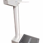 Balança Hospitalar Antropométrica Mecânica 300kg 104a Welmy
