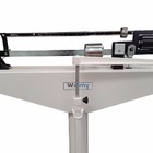 Balança Hospitalar Antropométrica Mecânica 300kg 104a Welmy