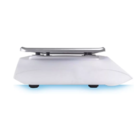 Balança Toledo 9094 Plus 32kg Com Certificado De Calibração