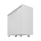 Balcão 2 Portas 1 Prateleira 4 Pés Rodízios Branco Branco