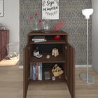 Balcão 2 Portas Bolonha Ipê