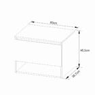 Balcão Gabinete Armário Suspenso 60 Cm Com Cuba 1 Porta 1 Nic