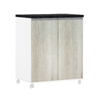 Balcao Lavanderia 2 Portas 85x70x47cm Legno Crema Luciane