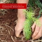 Balcão Madesa Stella 80 Cm 2 Portas - Branco/rustic