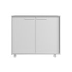 Balcão Multiuso 2 Portas 1 Prateleiras 4 Pés Com Rodízios Bra