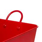 Balde De Cerveja Brahma 8 L