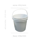 Balde Transparente 10 Litros 02 Pçs