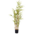 Bambu 90cm Verde