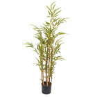 Bambu 90cm Verde