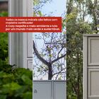 Bancada Cozinha Gourmet Ditália Com 2 Banquetas Cd-1022