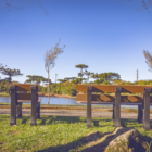 Banco De Jardim Madeira Plástica 0,60 M Marrom MBS