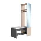 Banco Flow Com Espelho E Cabideiro Grafite E Nature