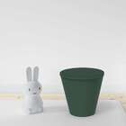 Banco Fluo  Verde Alecrim