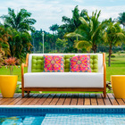 Banco Moly  Limão Siciliano