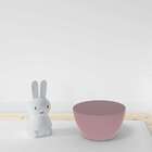 Banco Oxy  Calla Rose