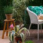 Banco Redondo 47 Natural